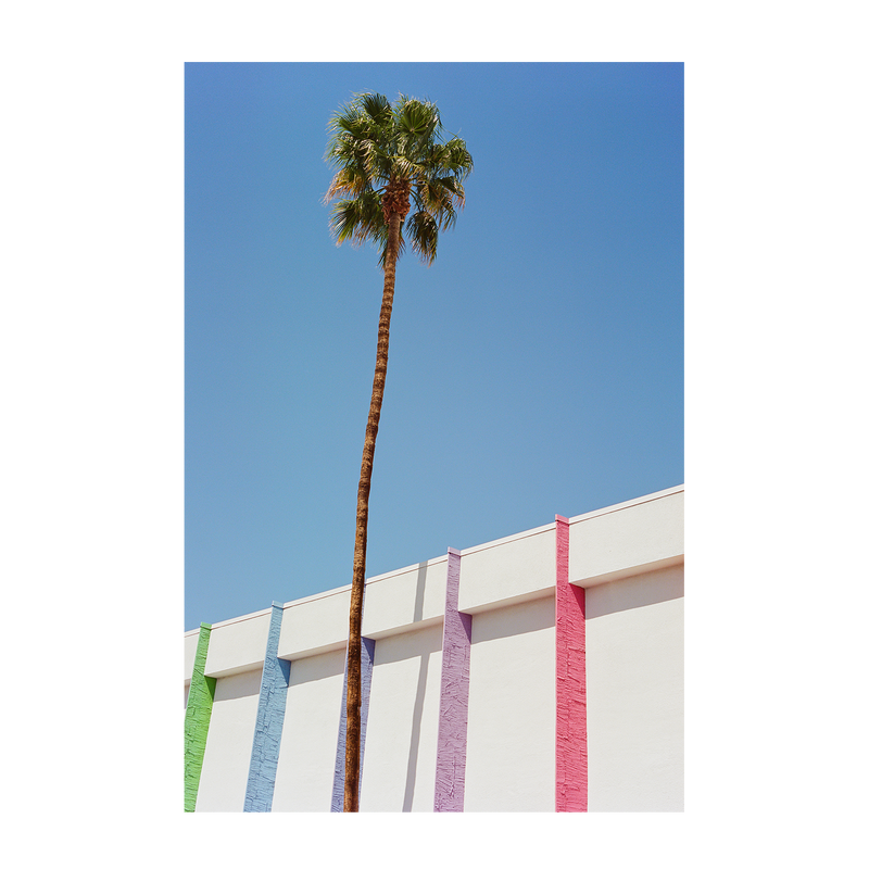 wall-art-print-canvas-poster-framed-Pink Palm Springs & Palm Springs II, Set Of 2 , By Bethany Young-7