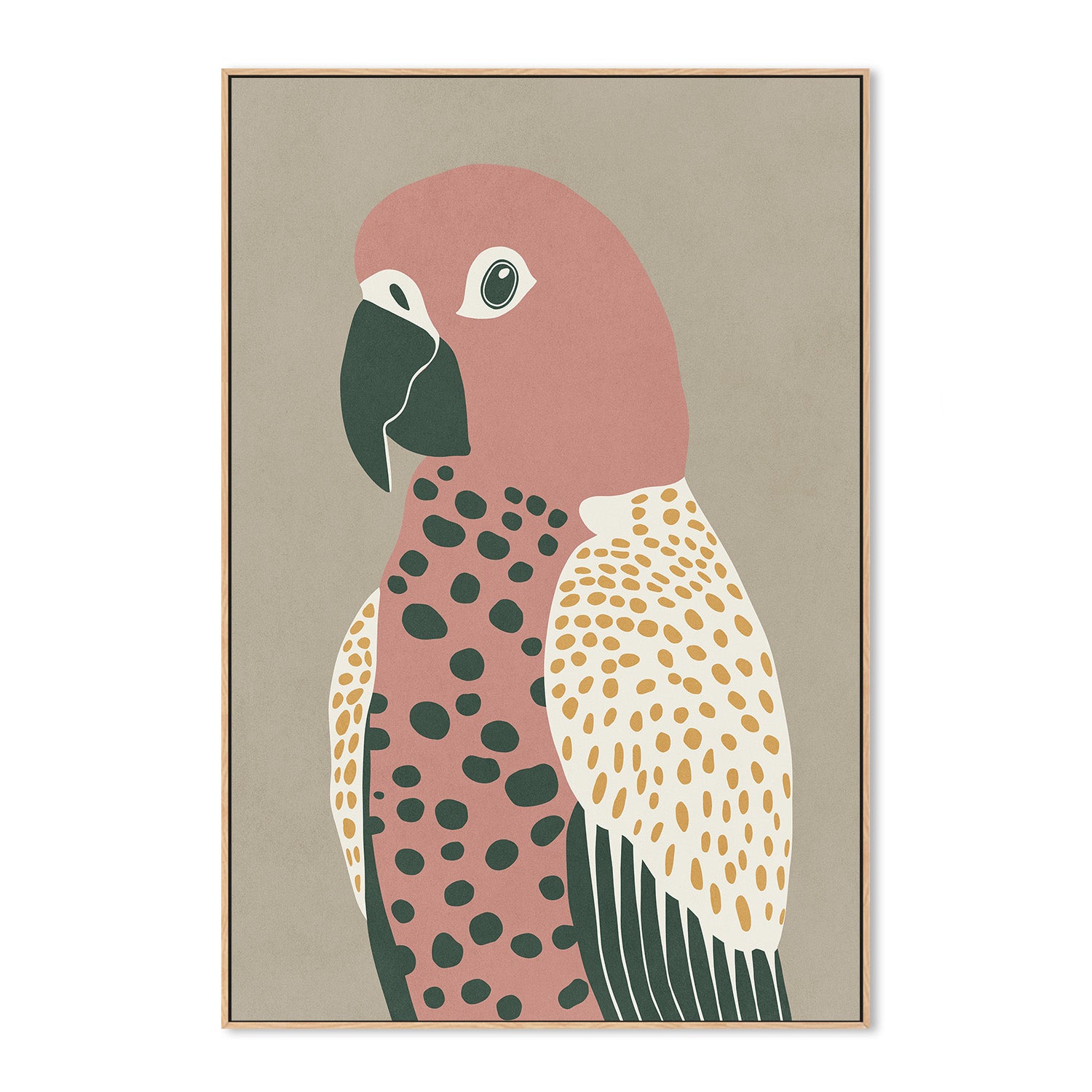 wall-art-print-canvas-poster-framed-Pink Parrot-4