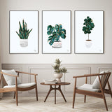 wall-art-print-canvas-poster-framed-Pot Plant, Style A, B & C, Set Of 3 , By Sarah Manovski-GIOIA-WALL-ART