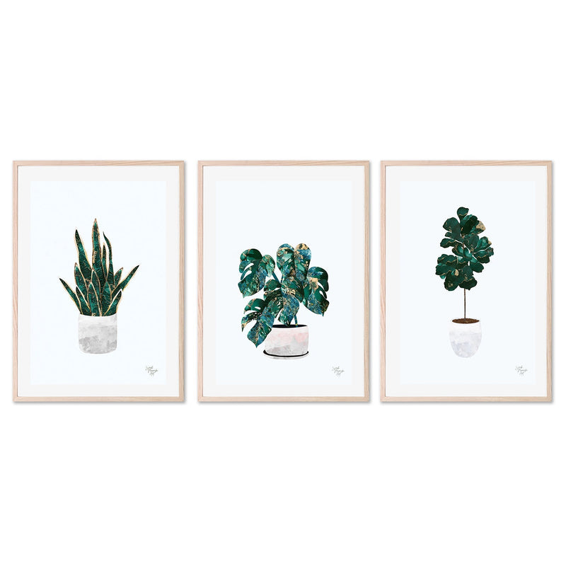 wall-art-print-canvas-poster-framed-Pot Plant, Style A, B & C, Set Of 3 , By Sarah Manovski-GIOIA-WALL-ART