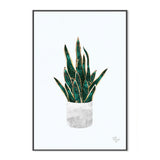 wall-art-print-canvas-poster-framed-Pot Plant, Style B , By Sarah Manovski-GIOIA-WALL-ART