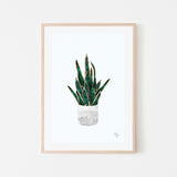 wall-art-print-canvas-poster-framed-Pot Plant, Style B , By Sarah Manovski-GIOIA-WALL-ART