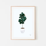 wall-art-print-canvas-poster-framed-Pot Plant, Style C , By Sarah Manovski-GIOIA-WALL-ART