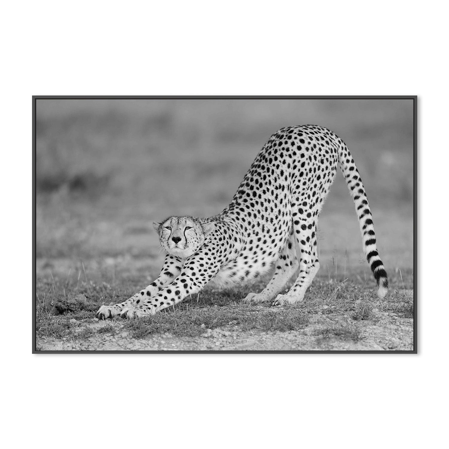 wall-art-print-canvas-poster-framed-Pozzi, Relax-3