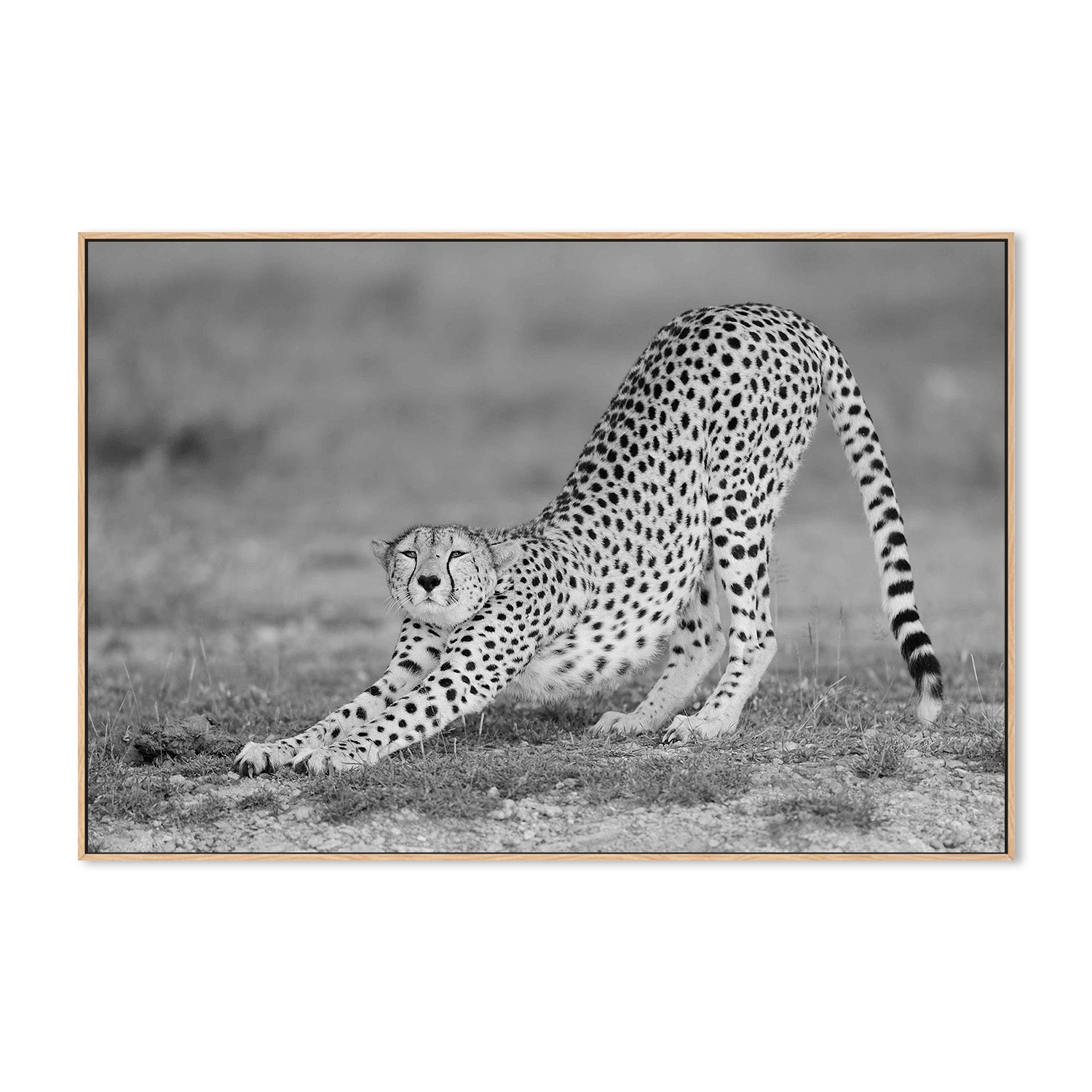 wall-art-print-canvas-poster-framed-Pozzi, Relax-4