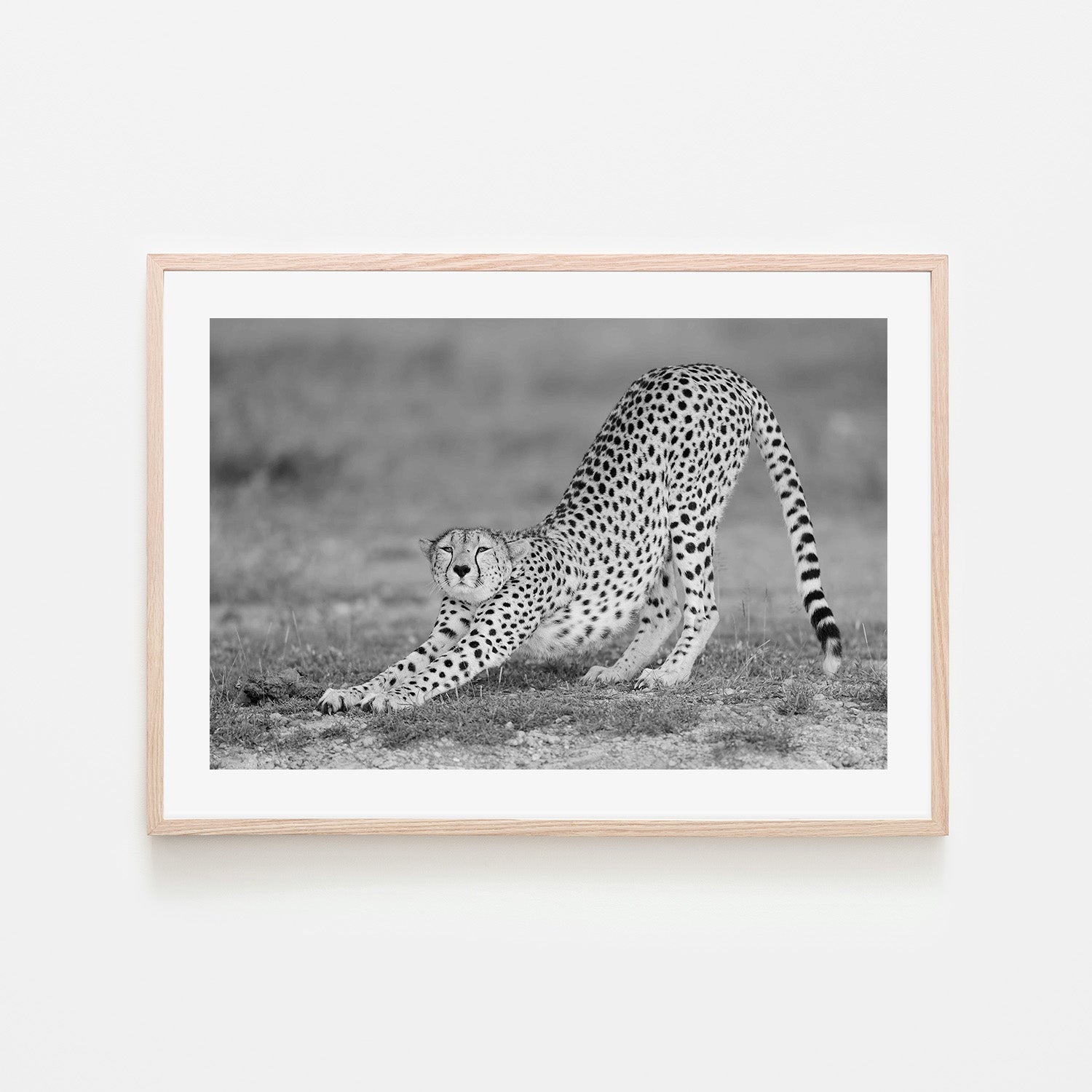 wall-art-print-canvas-poster-framed-Pozzi, Relax-6