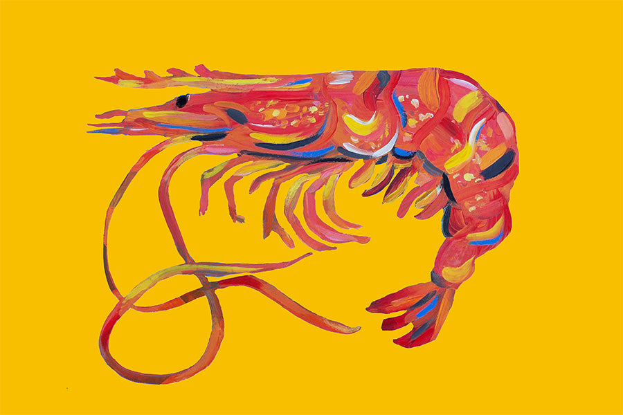 wall-art-print-canvas-poster-framed-Prawn On Yellow-1