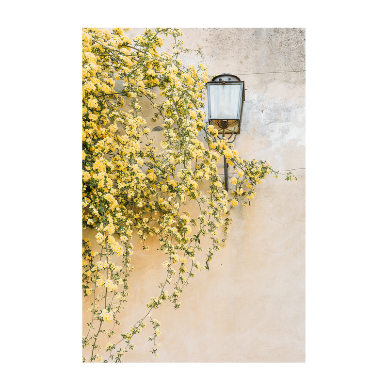 wall-art-print-canvas-poster-framed-Primavera, Florence, Italy , By Leggera Studio-GIOIA-WALL-ART