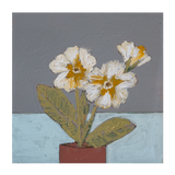 wall-art-print-canvas-poster-framed-Primrose , By Louise O'hara-1
