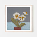 wall-art-print-canvas-poster-framed-Primrose , By Louise O'hara-6