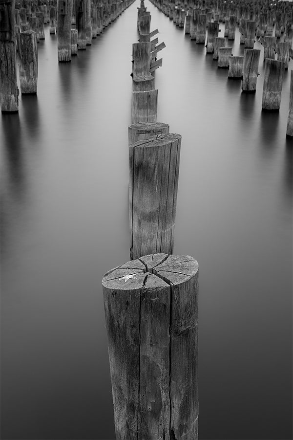 wall-art-print-canvas-poster-framed-Princess pier (Melbourne)-1