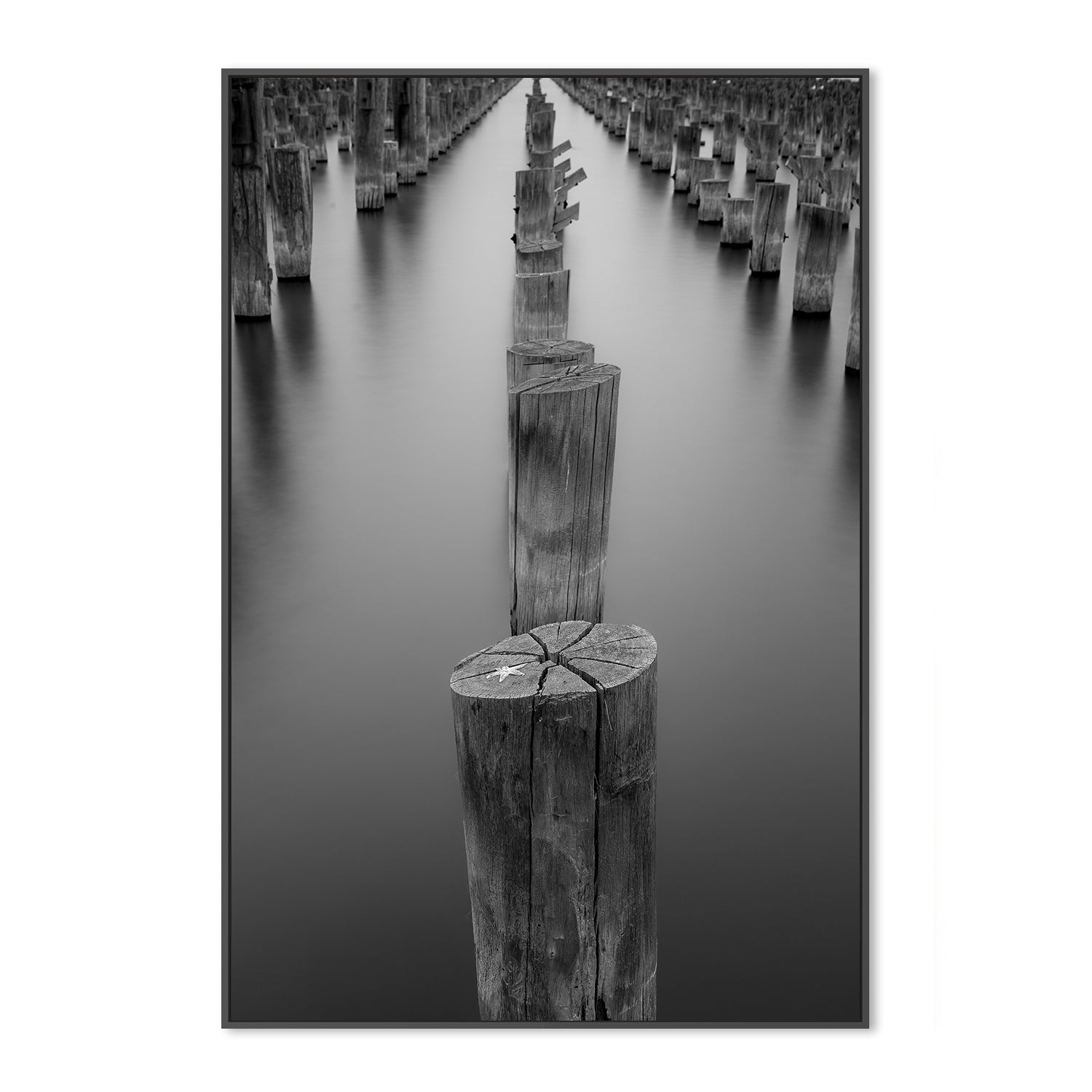 wall-art-print-canvas-poster-framed-Princess pier (Melbourne)-3