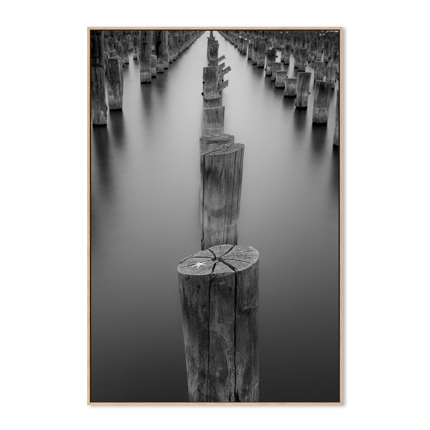 wall-art-print-canvas-poster-framed-Princess pier (Melbourne)-4
