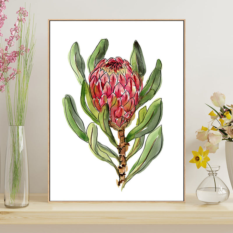 wall-art-print-canvas-poster-framed-Protea , By Jessie Mitchelson-GIOIA-WALL-ART