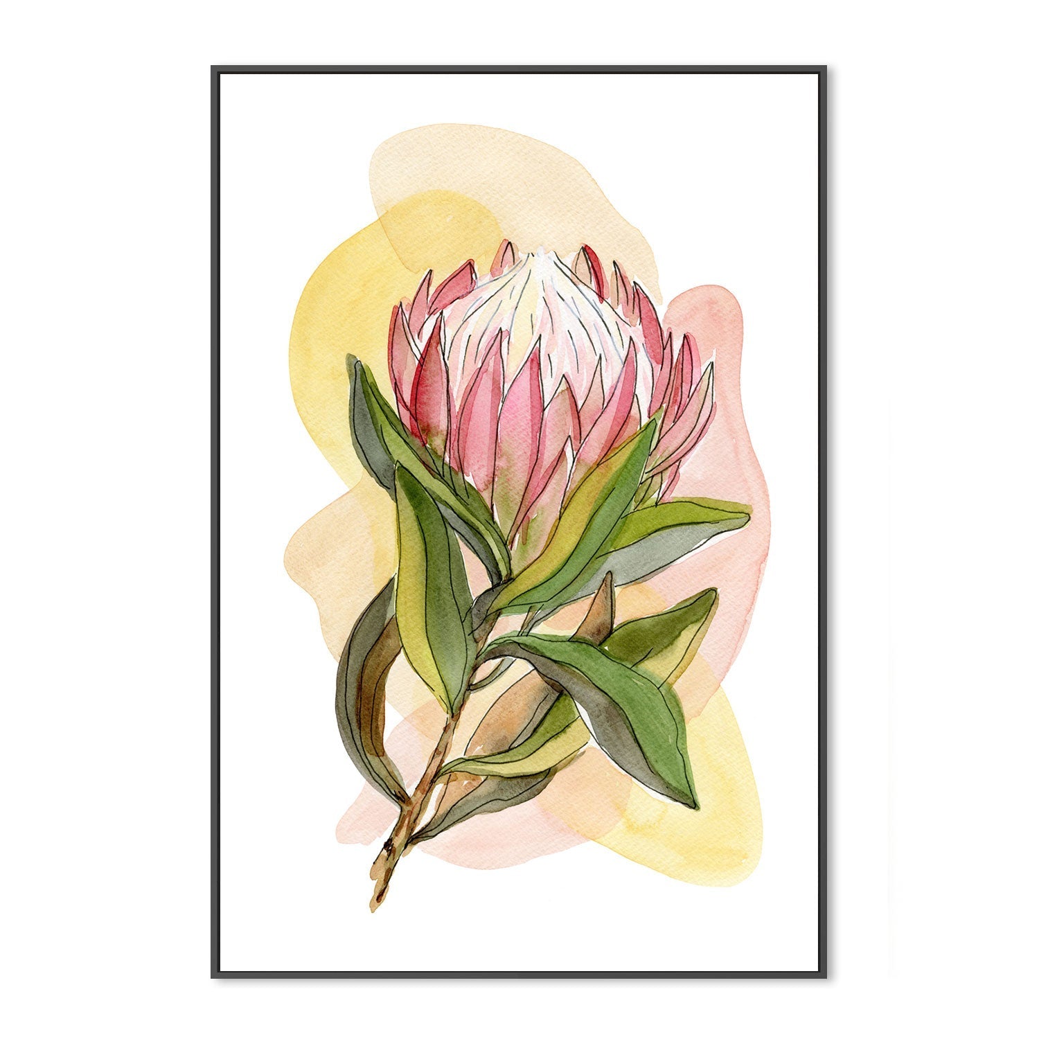 wall-art-print-canvas-poster-framed-Protea Line Drawing , By Jessie Mitchelson-GIOIA-WALL-ART