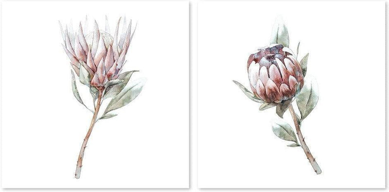 wall-art-print-canvas-poster-framed-Protea Pair, Watercolour Painting Style, Set Of 2-by-Gioia Wall Art-Gioia Wall Art