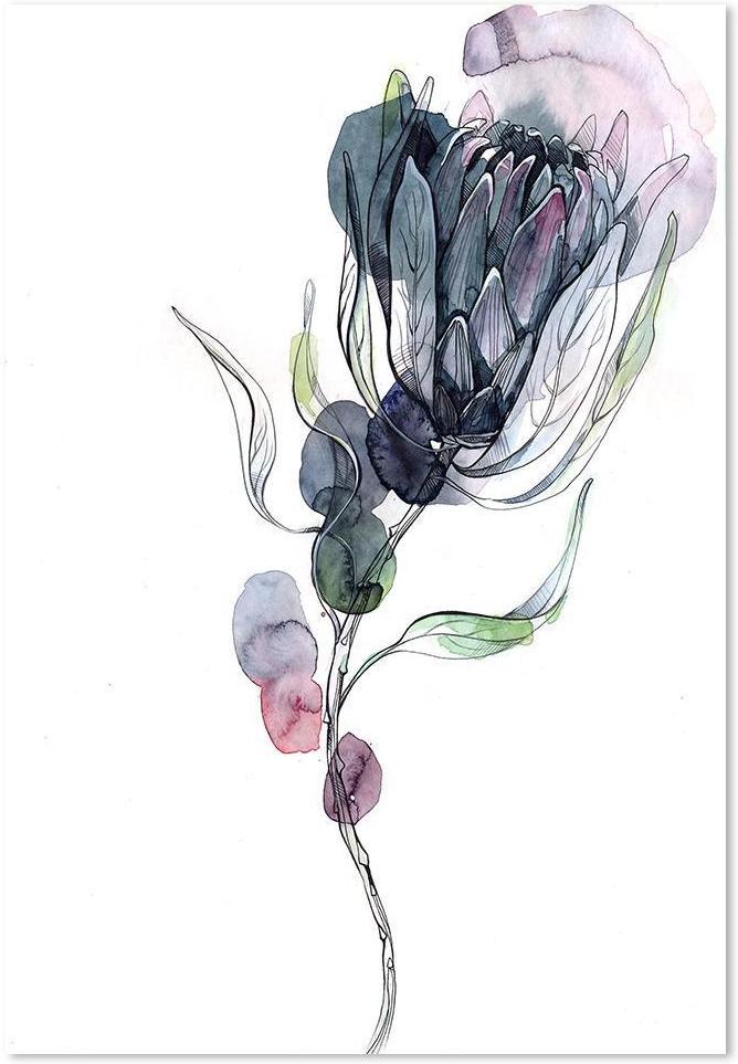 wall-art-print-canvas-poster-framed-Protea, Watercolour Painting-by-Gioia Wall Art-Gioia Wall Art