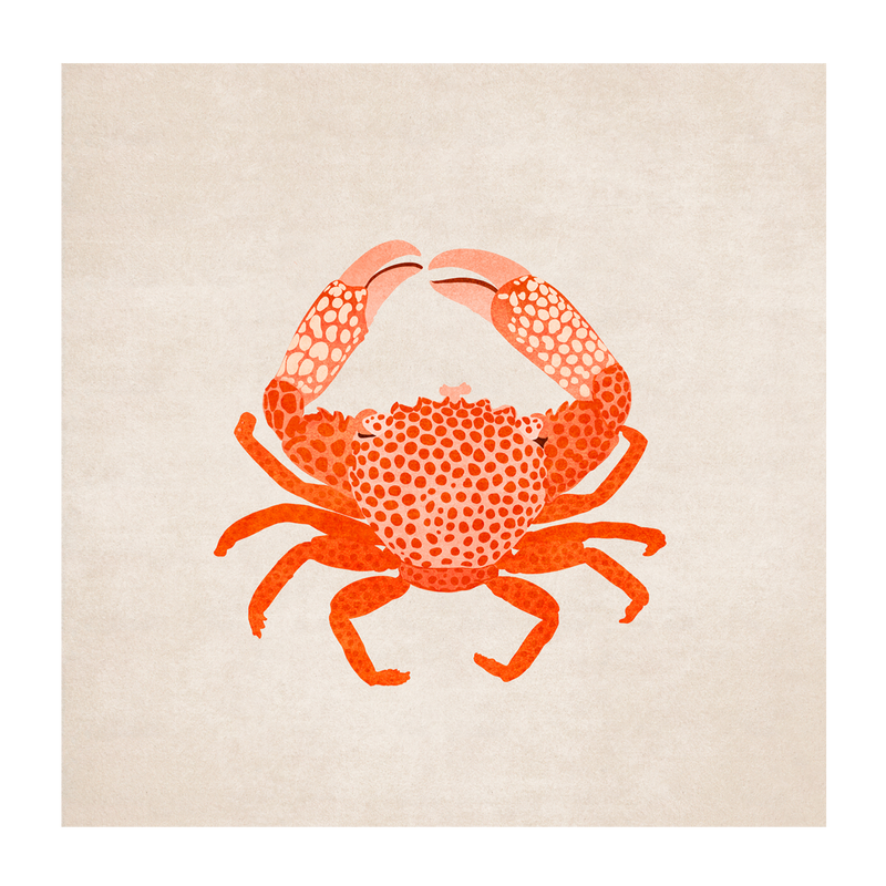 wall-art-print-canvas-poster-framed-Red Crab , By Emel Tunaboylu-GIOIA-WALL-ART