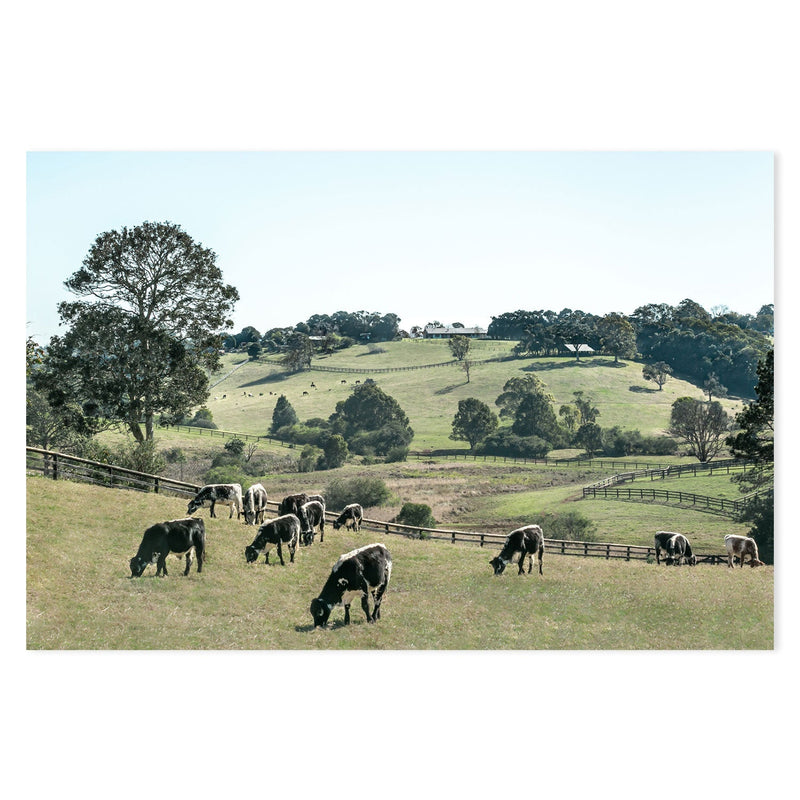 wall-art-print-canvas-poster-framed-Rolling Paddocks, Style A , By Tricia Brennan-GIOIA-WALL-ART