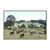 wall-art-print-canvas-poster-framed-Rolling Paddocks, Style A , By Tricia Brennan-GIOIA-WALL-ART