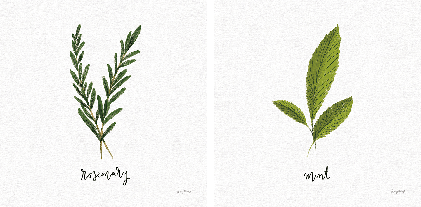 wall-art-print-canvas-poster-framed-Rosemary Herbs White Style B & Mint Herbs White Style F, Set Of 2 , By Becky Thorns-1