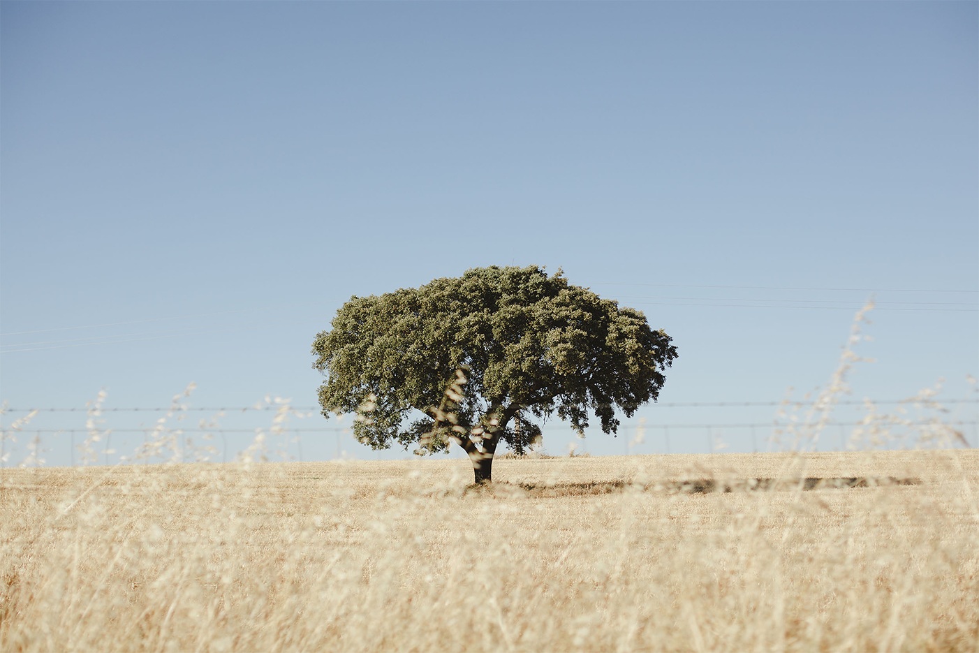 wall-art-print-canvas-poster-framed-Rustic Landscape , By Hello Twiggs-1