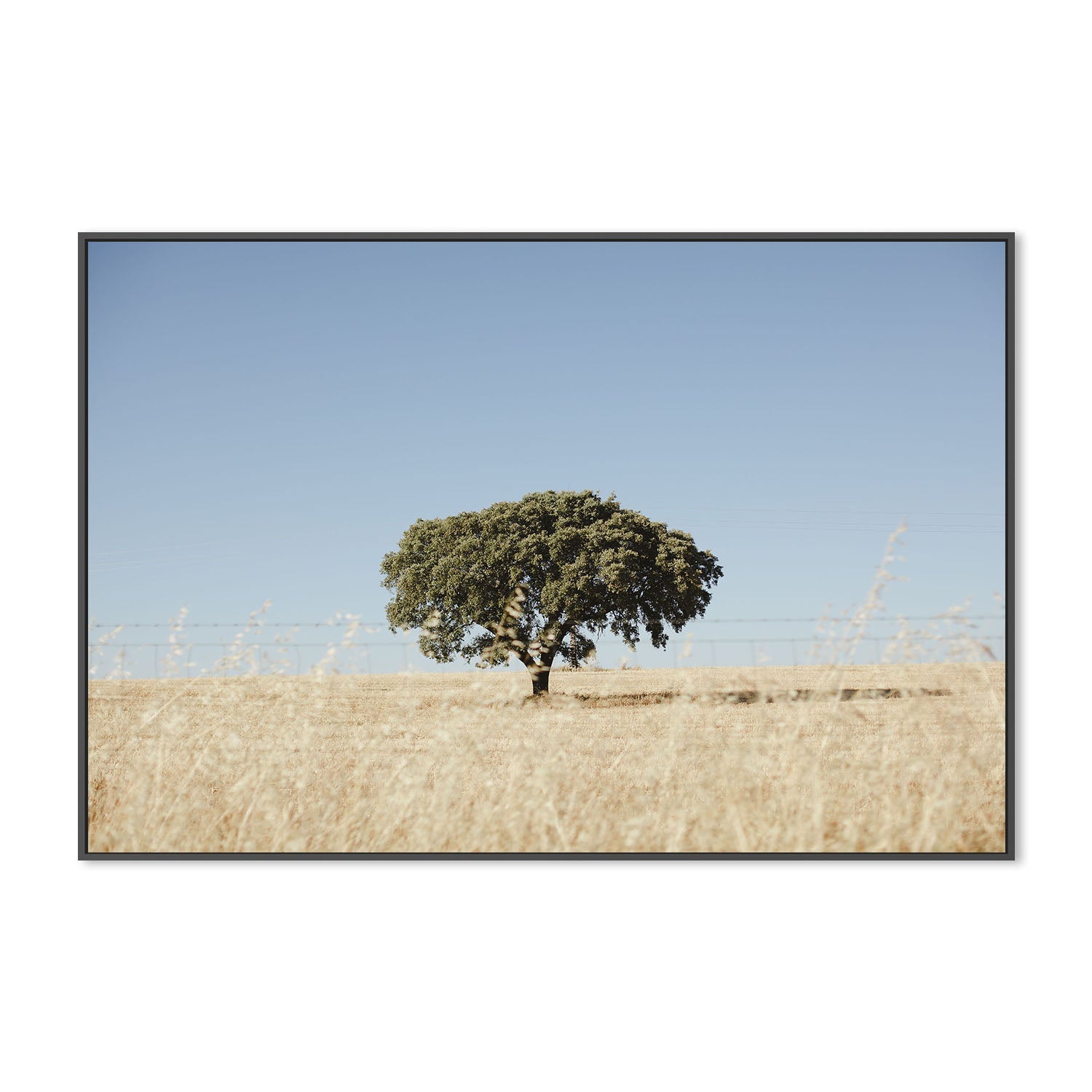 wall-art-print-canvas-poster-framed-Rustic Landscape , By Hello Twiggs-3