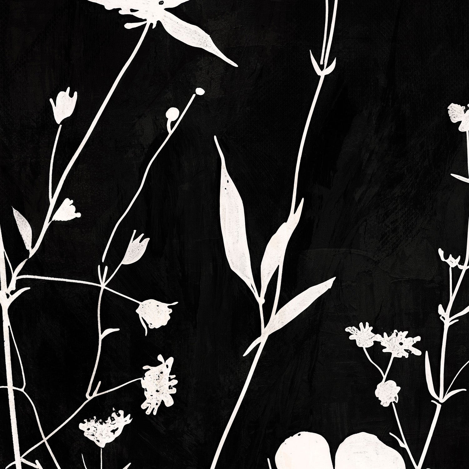 wall-art-print-canvas-poster-framed-Sable Stems, Style A-11
