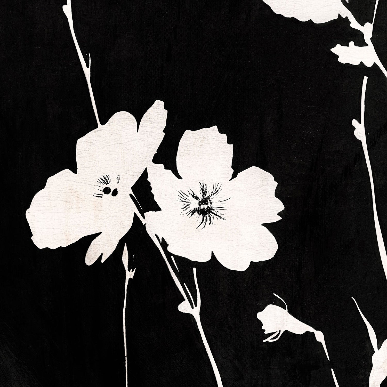 wall-art-print-canvas-poster-framed-Sable Stems, Style B-10