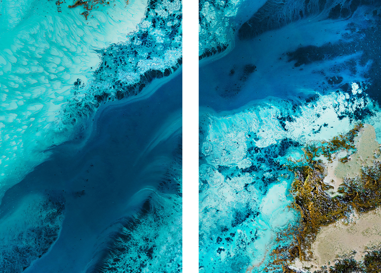 wall-art-print-canvas-poster-framed-Salt Water Passage, Style B & C, Set Of 2 , By Petra Meikle-1