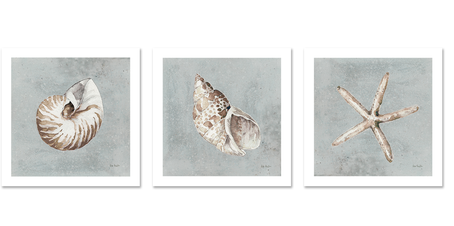 wall-art-print-canvas-poster-framed-Sand And Seashells, Style A, B & C, Set Of 3 , By Lisa Audit-GIOIA-WALL-ART