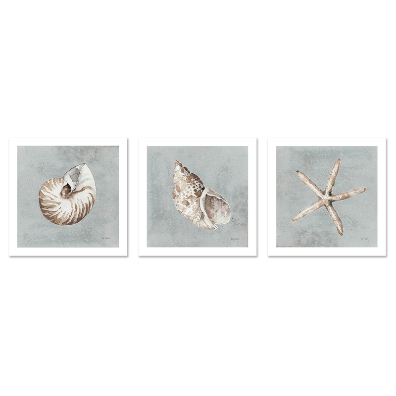 wall-art-print-canvas-poster-framed-Sand And Seashells, Style A, B & C, Set Of 3 , By Lisa Audit-GIOIA-WALL-ART