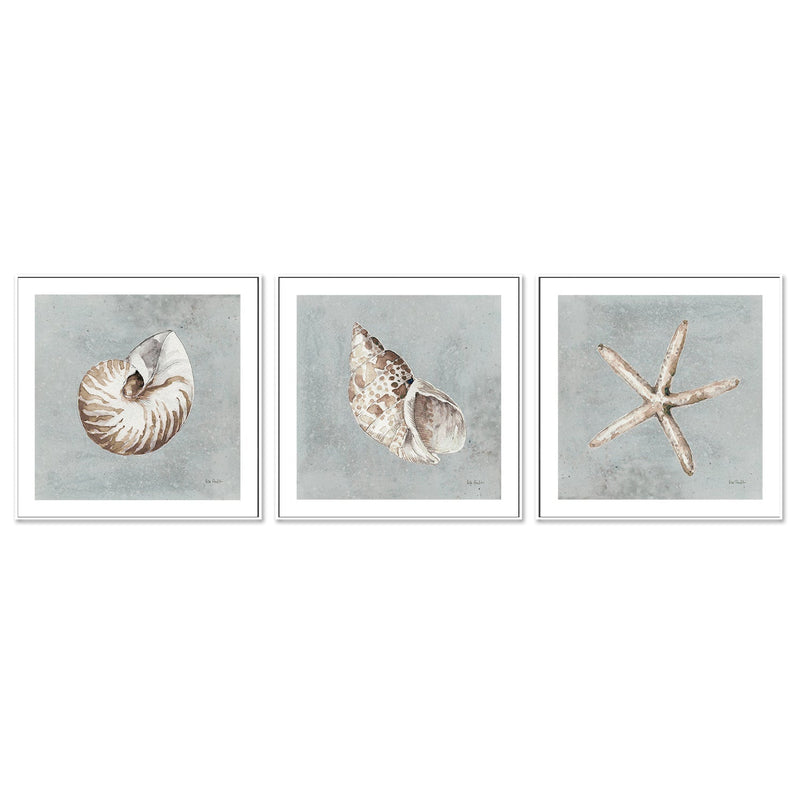 wall-art-print-canvas-poster-framed-Sand And Seashells, Style A, B & C, Set Of 3 , By Lisa Audit-GIOIA-WALL-ART