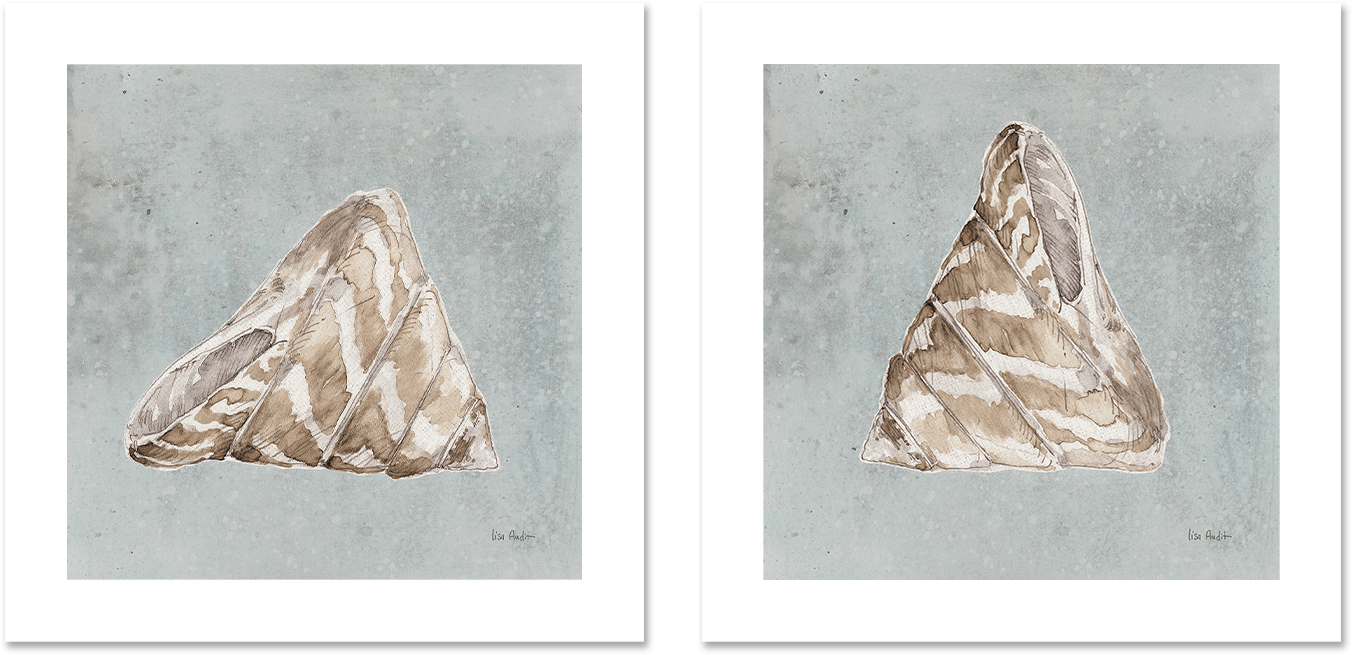 wall-art-print-canvas-poster-framed-Sand And Seashells, Style A & B, Set Of 2 , By Lisa Audit-GIOIA-WALL-ART