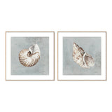wall-art-print-canvas-poster-framed-Sand And Seashells, Style A & B, Set Of 2 , By Lisa Audit-GIOIA-WALL-ART