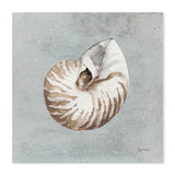 wall-art-print-canvas-poster-framed-Sand And Seashells, Style A & B, Set Of 2 , By Lisa Audit-GIOIA-WALL-ART