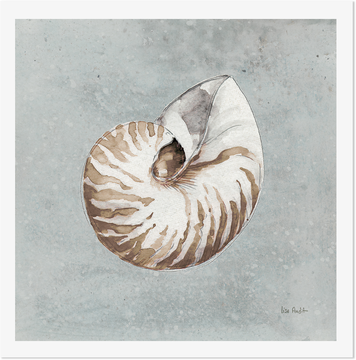 wall-art-print-canvas-poster-framed-Sand And Seashells, Style A , By Lisa Audit-GIOIA-WALL-ART