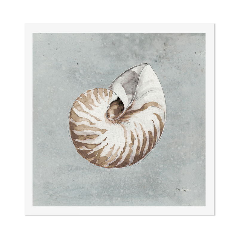 wall-art-print-canvas-poster-framed-Sand And Seashells, Style A , By Lisa Audit-GIOIA-WALL-ART