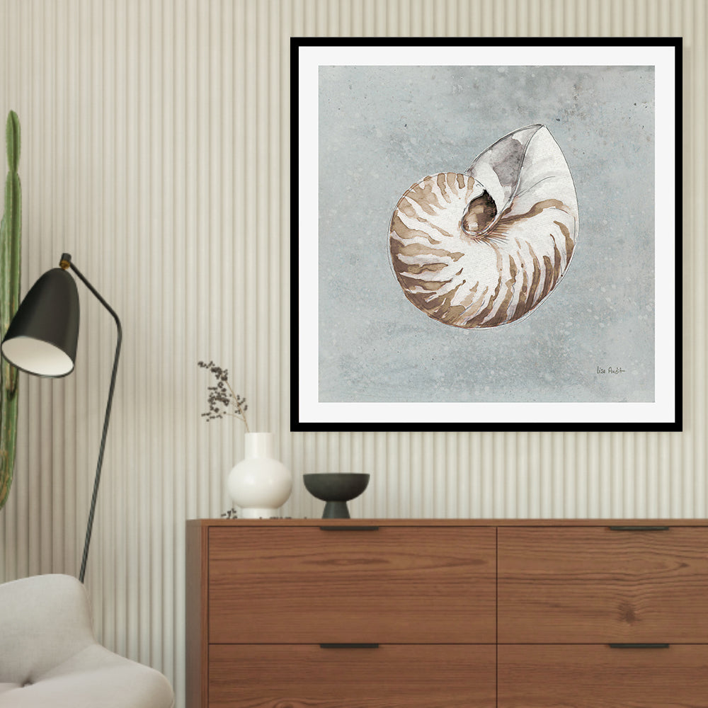 wall-art-print-canvas-poster-framed-Sand And Seashells, Style A , By Lisa Audit-GIOIA-WALL-ART