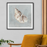 wall-art-print-canvas-poster-framed-Sand And Seashells, Style B , By Lisa Audit-GIOIA-WALL-ART