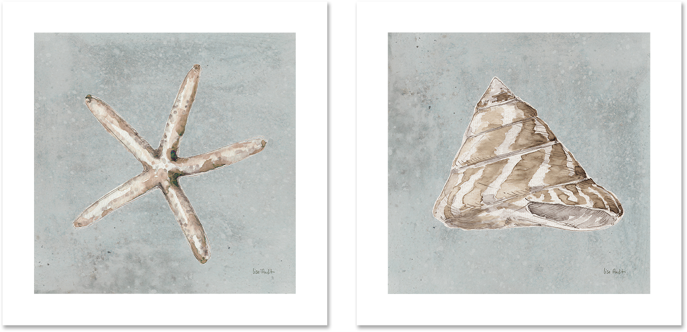 wall-art-print-canvas-poster-framed-Sand And Seashells, Style C & D, Set Of 2 , By Lisa Audit-GIOIA-WALL-ART