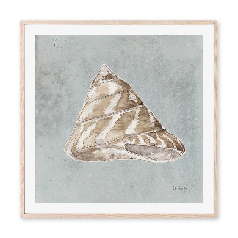 wall-art-print-canvas-poster-framed-Sand And Seashells, Style D , By Lisa Audit-GIOIA-WALL-ART