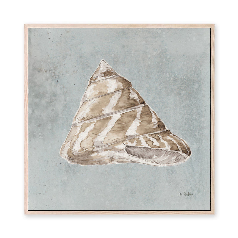 wall-art-print-canvas-poster-framed-Sand And Seashells, Style D , By Lisa Audit-GIOIA-WALL-ART