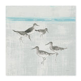 wall-art-print-canvas-poster-framed-Sandpipers, Style A & B, Set Of 2 , By Avery Tilmon-GIOIA-WALL-ART
