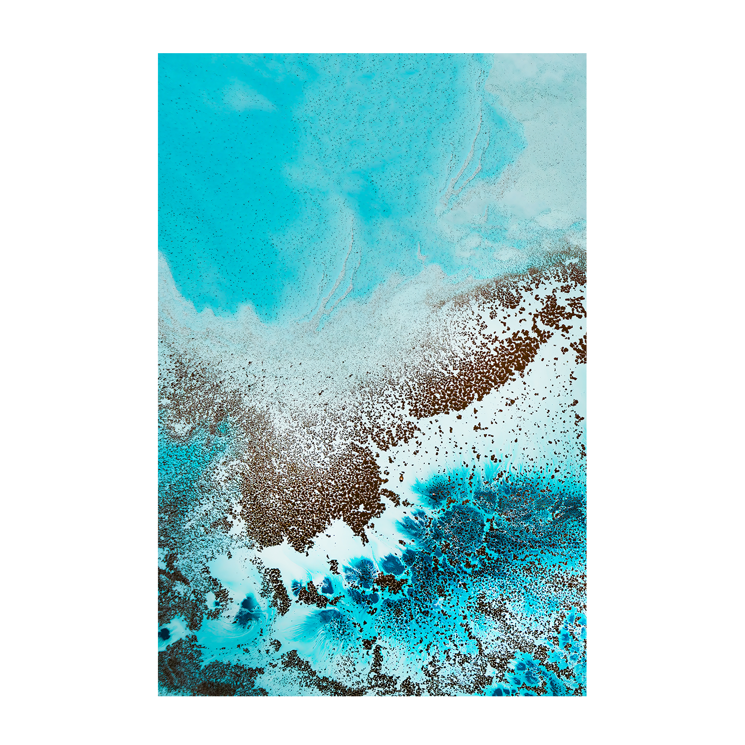 wall-art-print-canvas-poster-framed-Sea Life, Style A & B, Set Of 2 , By Petra Meikle-8