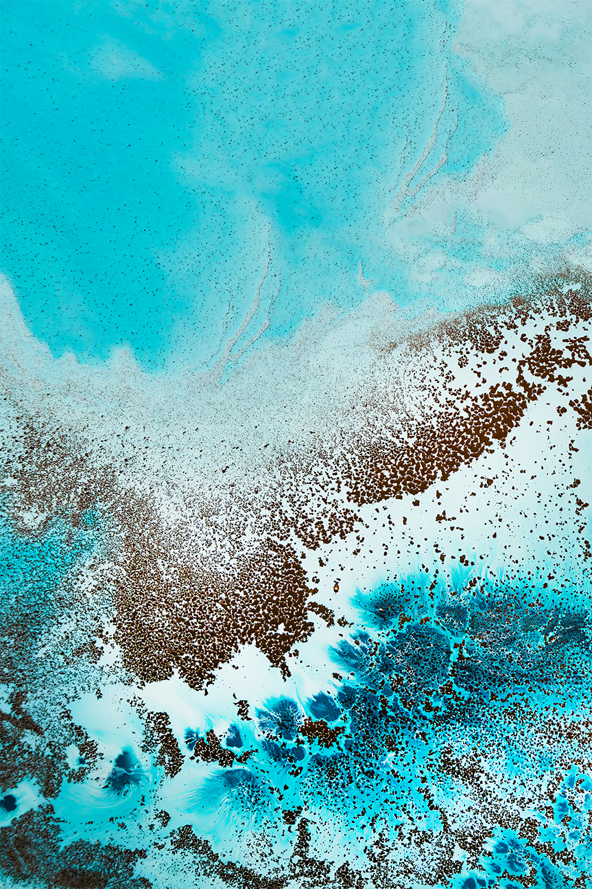wall-art-print-canvas-poster-framed-Sea Life, Style A , By Petra Meikle-1