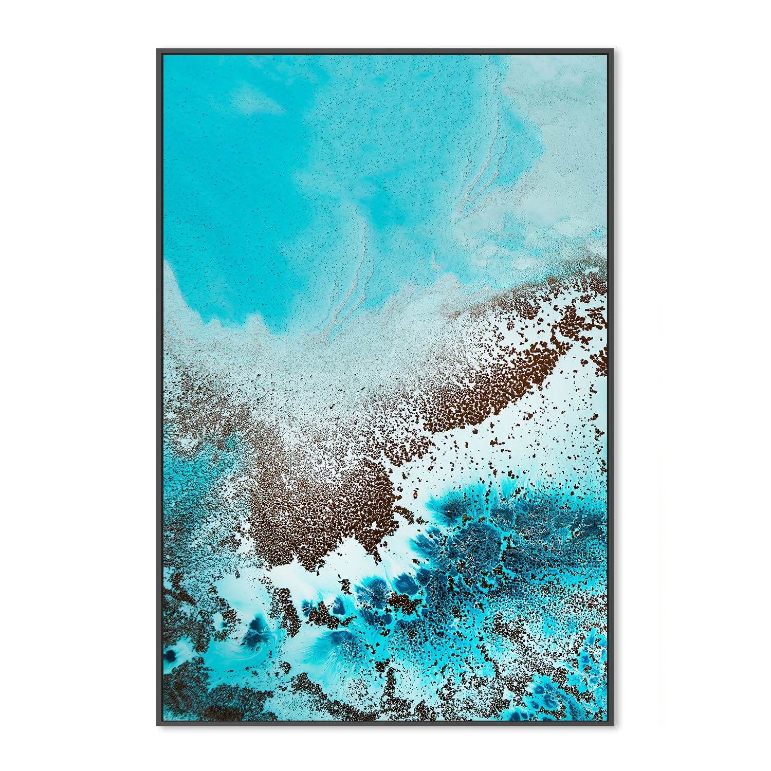 wall-art-print-canvas-poster-framed-Sea Life, Style A , By Petra Meikle-3