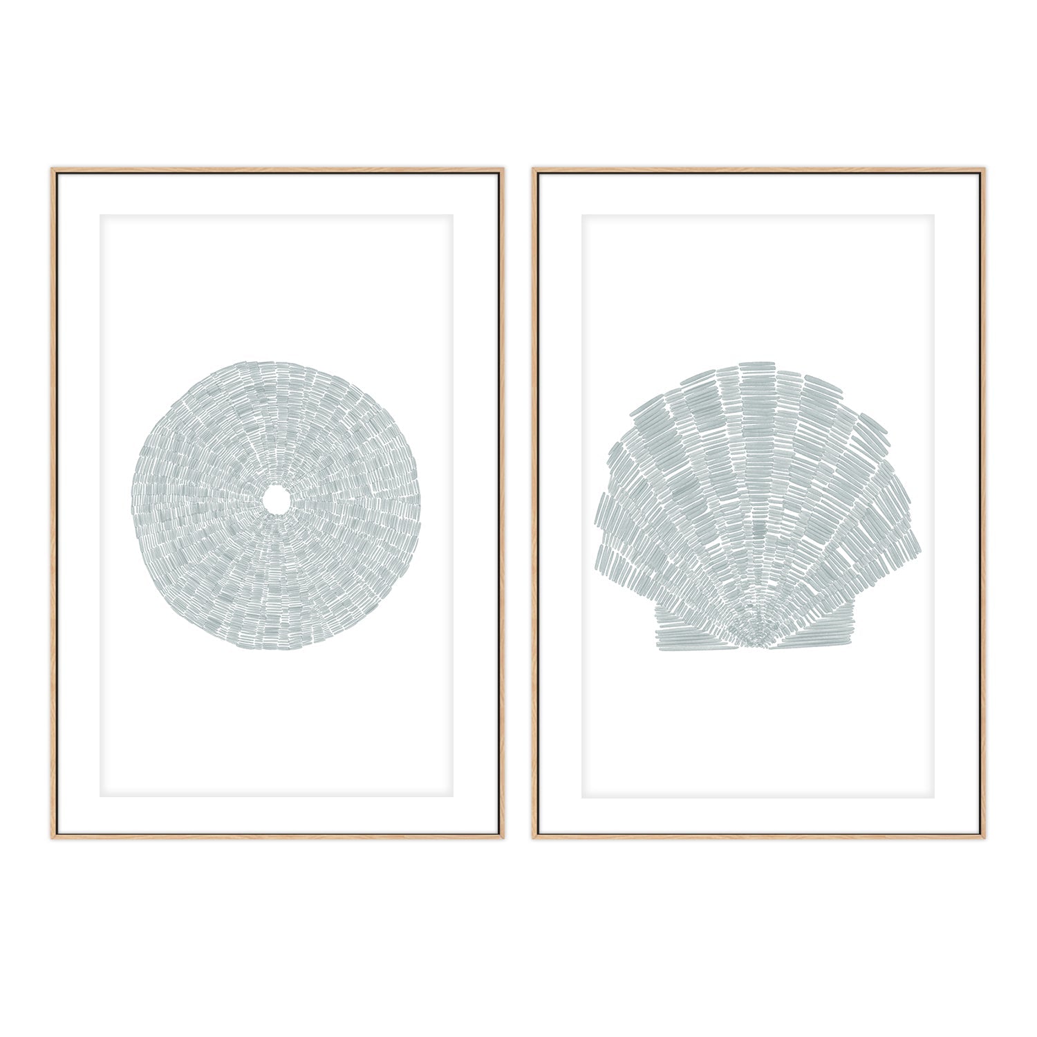 wall-art-print-canvas-poster-framed-Sea Urchin-Deconstrated Scallop Shell , Set Of 2, By Jetty Home , By Jetty Home-6