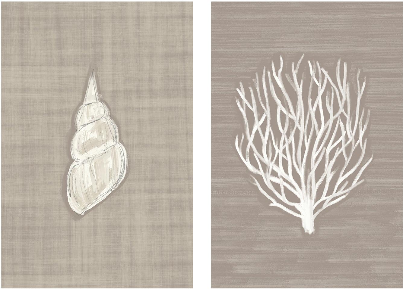 wall-art-print-canvas-poster-framed-Seashell - Coral Branch , Set Of 2, By Jetty Home , By Jetty Home-1