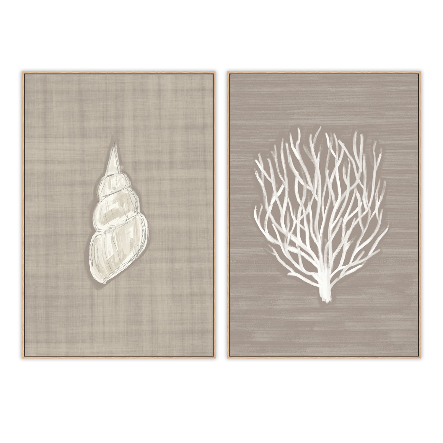 wall-art-print-canvas-poster-framed-Seashell - Coral Branch , Set Of 2, By Jetty Home , By Jetty Home-4